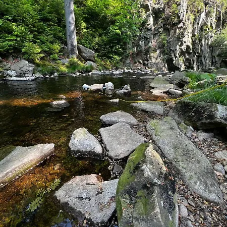 Apartament Ferienwohnung Pobershau