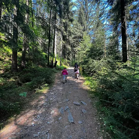 Ferienwohnung Pobershau Pobershau