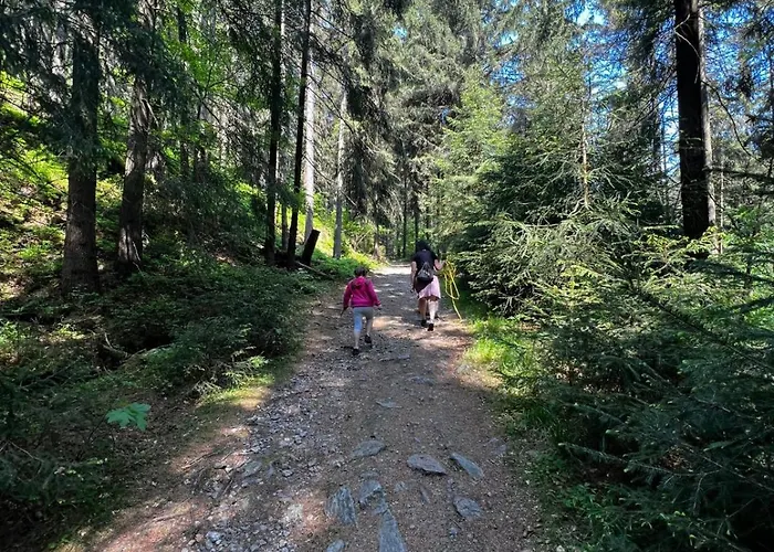 Ferienwohnung Pobershau Pobershau