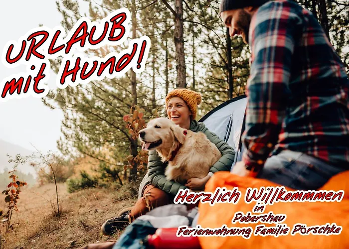 Ferienwohnung Pobershau Appartamento